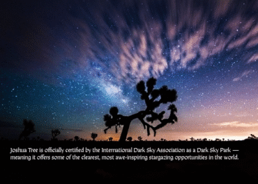 Summer Nights Are for Stargazing in Joshua Tree